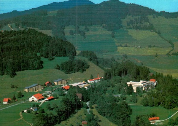 Faltiberg, Wald ZH - Flugaufnahmen Vorderseite