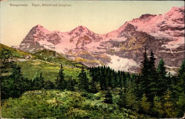 Wengernalp Vorderseite