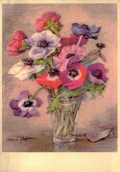 Anemonen Vorderseite