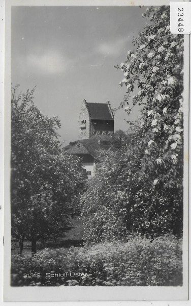 Schloss Uster