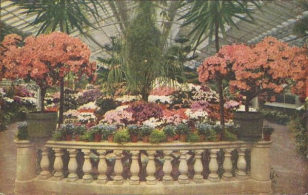 Frankfurt a. M. - Palmengarten Vorderseite