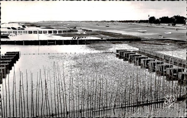 Bassin d’Arcachon Vorderseite