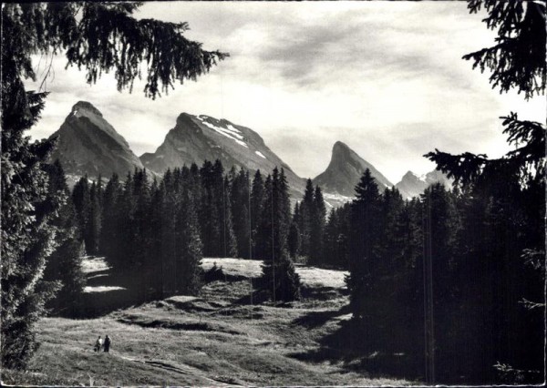 Obertoggenburg Vorderseite