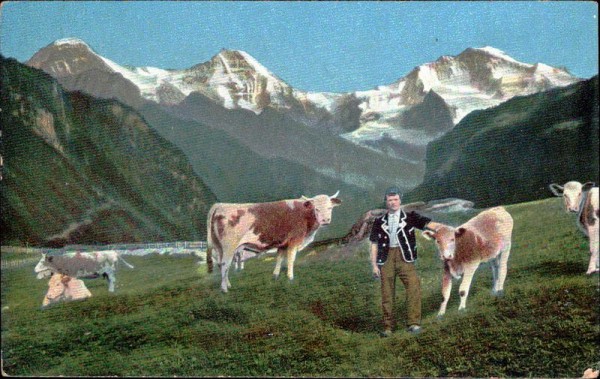 Auf der Alp Vorderseite