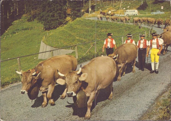 Alpfahrt von der Schwägalp
