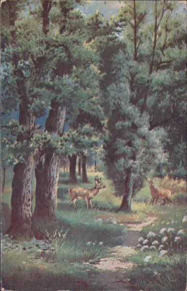 Rehe im Wald Vorderseite
