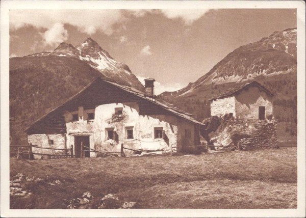 Surlej, Bergheimat Vorderseite