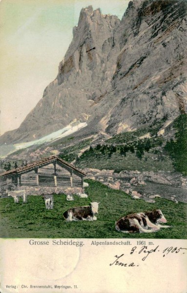 Grosse Scheidegg, Alpenlandschaft Vorderseite