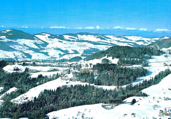 Faltiberg, Zürcher Heilstätte, Wald ZH  -  Flugaufnahmen Vorderseite