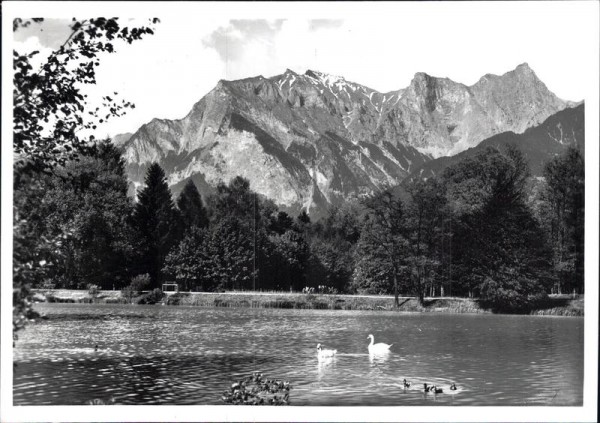 Bad Ragaz. Rheinparksee mit Falknis Vorderseite