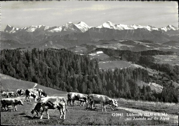 Napf (Berg) Vorderseite