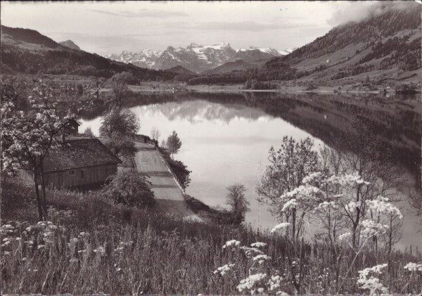 Aegerisee - Blick gegen Urirotstockgruppe