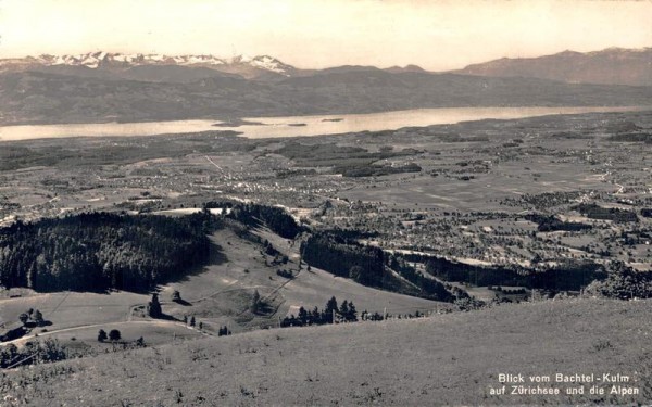Blick vom Bachtel-Kulm auf Zürichsee und die Alpen. 1947 Vorderseite