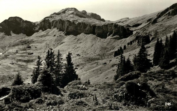 Flums, Berghotel Schönhalden Vorderseite