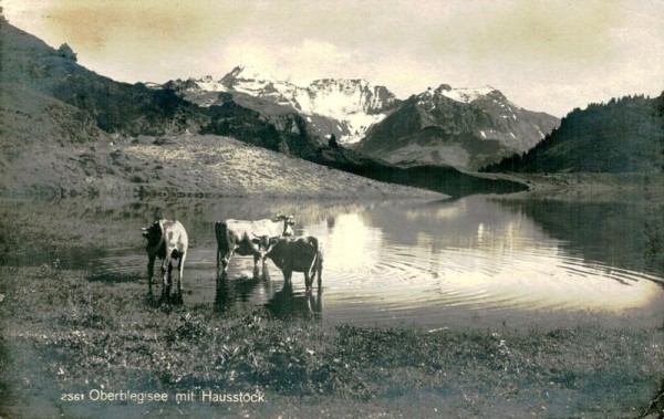 Oberblegisee mit Hausstock Vorderseite