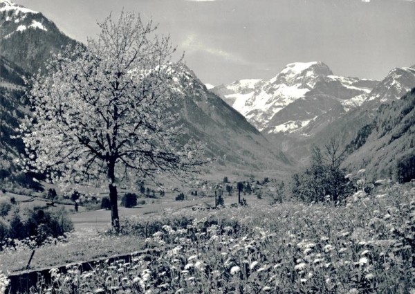 Frühling im Glarnerland, Blickauf Tödi Vorderseite