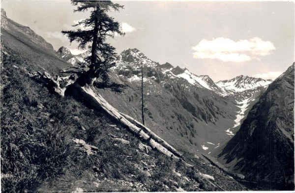 Schweiz. Nationalpark, Diavelgruppe von Alp Murter aus. Vorderseite