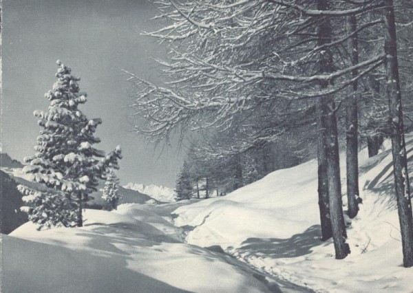 unbekannte Landschaft Vorderseite