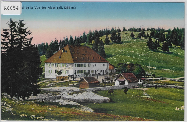 Hotel de la Vue-des-Alpes - Litho