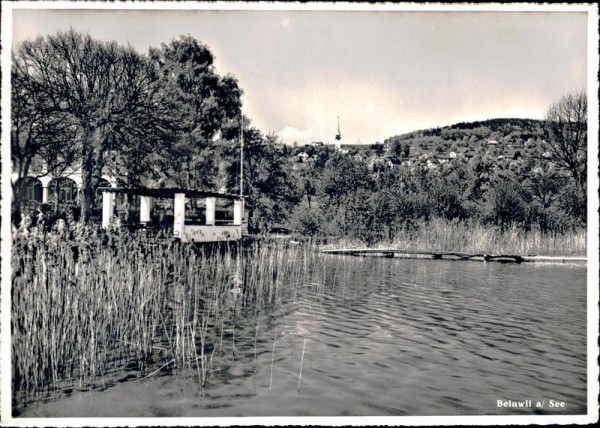 Beinwil am See Vorderseite