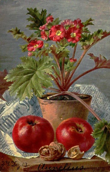 Topfpflanze Vorderseite