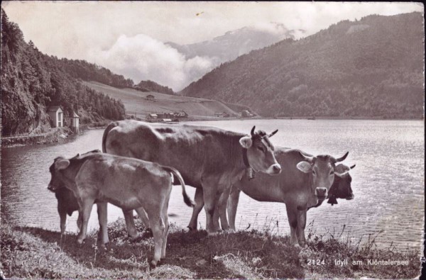 Idyll am Klöntalersee