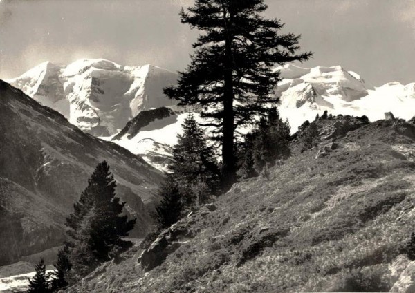 Piz Palü und Bellavista Vorderseite