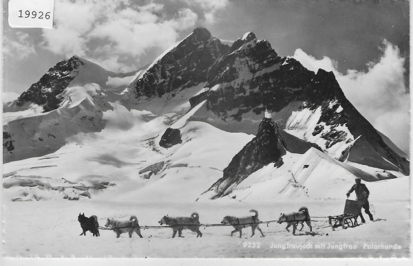 Jungfraujoch mit Jungfrau - Polarhunde