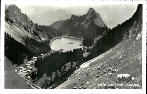 Lac de Tanay Vorderseite
