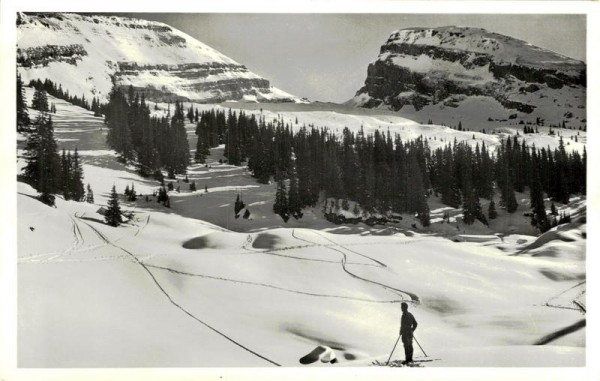 Sellenmatt mit Churfirsten bei Unterwasser Vorderseite