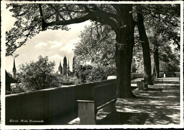Zürich. Hohe Promenade Vorderseite