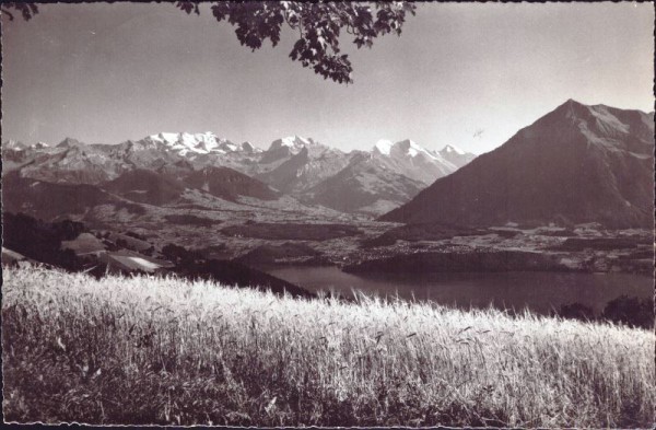 Schwendi ob Thun (1100m) Ausblick gegen Blümlisalp Doldenhorn Balmhorn Altels Rinderhorn Niesen