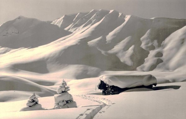 Adelboden. Wintersonne am Hahnenmoos-Pass Vorderseite