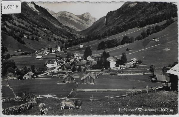 Luftkurort Weistannen - Kühe vaches cows
