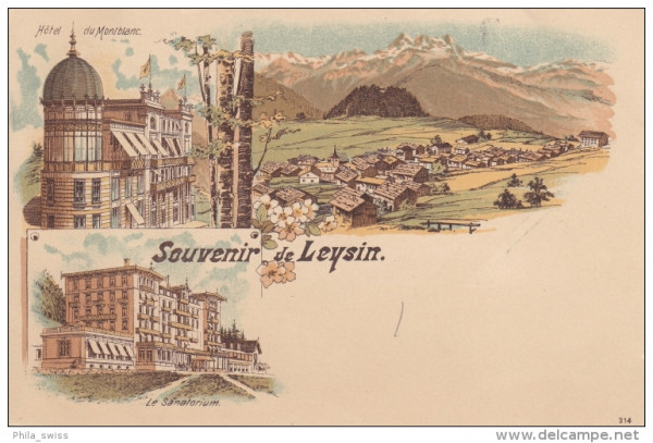 Leysin, Souvenir de - farbige Litho - Hotel Du Mont Blanc, Le Sanatorium, vue generale