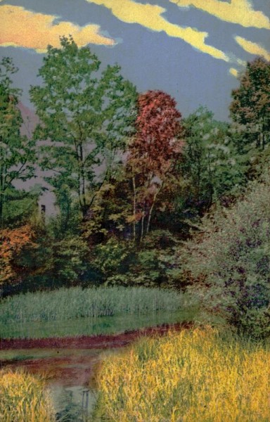 Farbenpracht des Herbstes Vorderseite