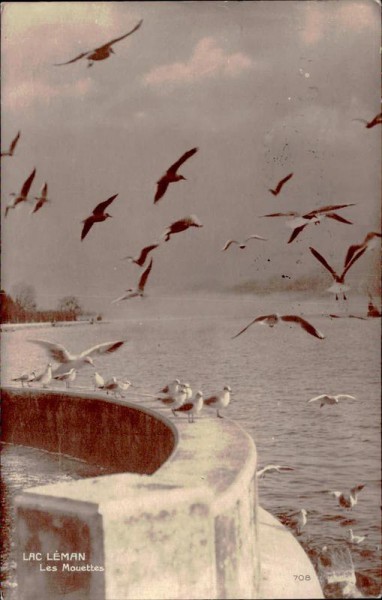 Lac Léman, Les Mouettes Vorderseite
