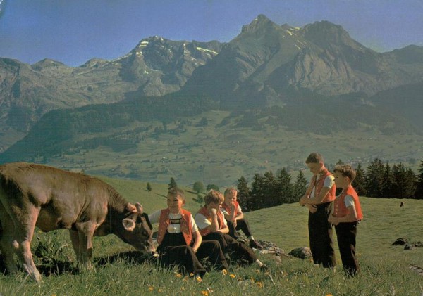Alp Iltios bei Wildhaus-Unterwasser mit säntisgruppe Vorderseite