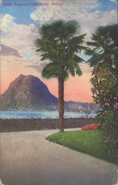 Lugano-Gastagnola Palme