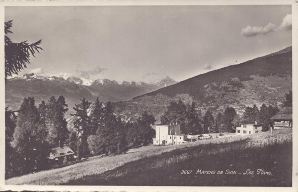 Mayens de Sion, Les Plans Vorderseite