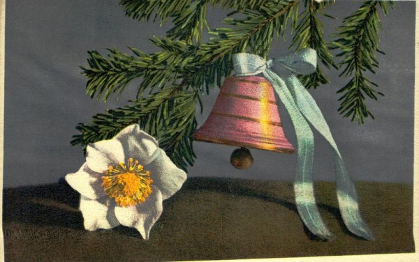 Christrose Vorderseite