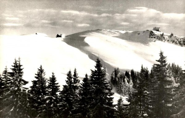Tanzboden-Skigebiet Vorderseite