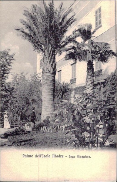 Palme dell'Isola Madre - LAgo Maggiore Vorderseite