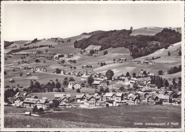 Schönengrund & Wald