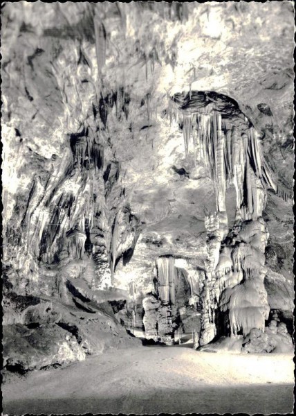 Höhlen von Postojna Vorderseite