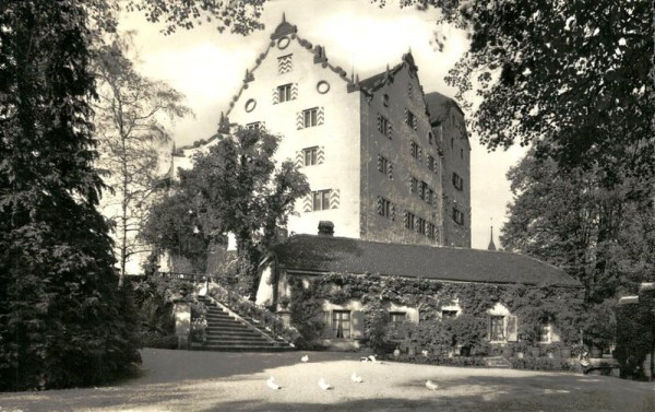 Schloss Wildegg mit Burghof Vorderseite