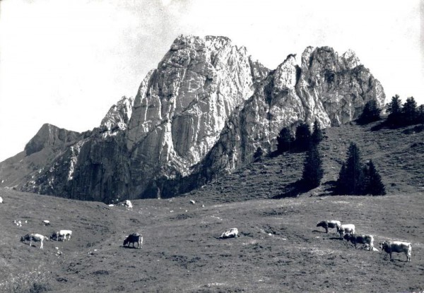 Wägital. Bookmattli und Tierberg (Wäggital) Vorderseite