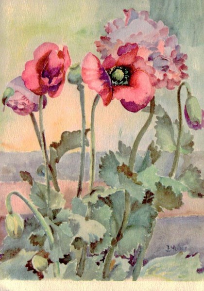 Blumenbeet Vorderseite