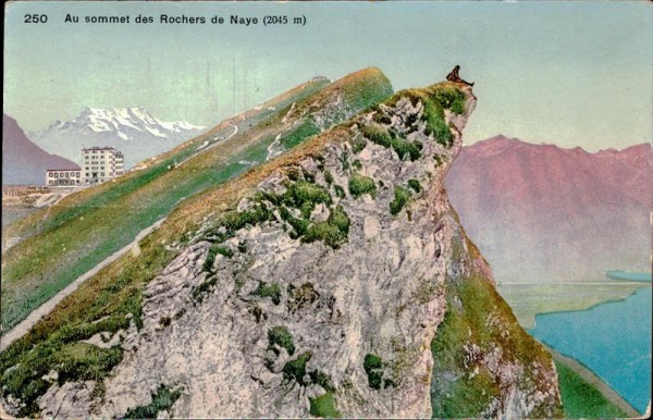 Au sommet des Rochers de Naye Vorderseite