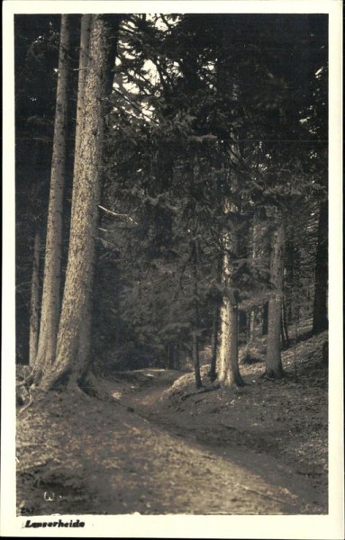Lenzerheide Vorderseite